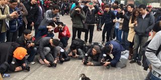 コミケ会場で問題視されている『ローアングラー』は猫界隈でも観測されている「ただの猫目線である」 - Togetter