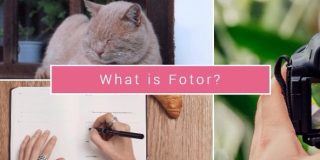 無料で画像加工ができるサイト「Fotor」は高機能で簡単、いろんな用途に使えます | ゆうそうとITブログ