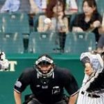 梅野隆太郎さん、14連続で盗塁刺せず阻止率壊滅 : 阪神タイガースちゃんねる