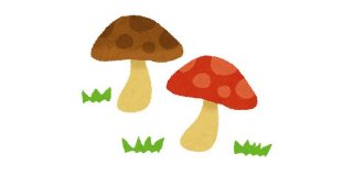 キノコが木材を完全分解する酵素を獲得したため石炭が出来なくなってもう数億年経つらしい→「キノコすごい」 - Togetter