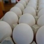 鶏卵輸出53%増で最高　1～8月、「生食」など広がる : 日本経済新聞
