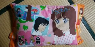 「これは！」おばあちゃんがクッションとして使っている枕が懐かしすぎて感激の人々「ウチにもこんなのが」 - Togetter