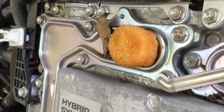 『お客様に最適なアドバイスをするのが整備士のお仕事です』エンジンルームになぜか「カニクリームコロッケ」が入り込んでいるのが発見される - Togetter