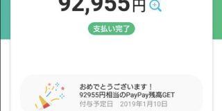 PayPay特需で家電が爆売れ。Apple製品やスイッチなど換金率高い製品に人気集まる : IT速報