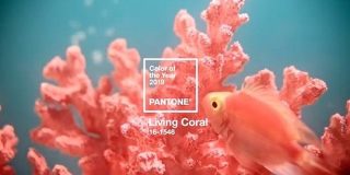 PANTONEが選ぶ2019年の色「Living Coral」を使った配色例 | Webクリエイターボックス