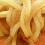 【新宿ラーメン巡り】こんな担々麺があったのか！まぜそばとつけ麺が1度に楽しめる『つけ坦々麺』を食べてきた / さんしょの木 | ロケットニュース24
