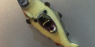 お母さんから送られてきた北海道土産がヤバすぎる「なんで組み合わせた（笑）」→他にもあった - Togetter