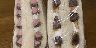 『たけのこの里ときのこの山を一緒にサンド！』『月（アポロ）』富山の有名なコンビニのフリーダムすぎるサンドイッチがすごい「おでんの具が入ったサンドイッチが…」 - Togetter