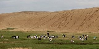 鳥取さん、砂丘が草原化した為に除草を始めてしまう：キニ速