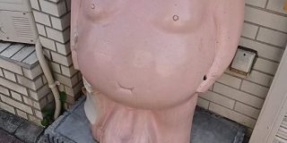 瀬戸物の狸さん トンカツ屋の魔の手にかかり豚に改造されてしまう… - Togetter