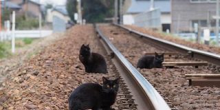 線路に乱入している悪い奴らが複数いた。兄弟かもしれない。「黒い旅団という名の過激派」「とんでもねぇヤツらだ！」 - Togetter