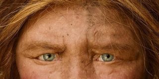 デニソワ人に別グループ、アジアでまた驚きの発見 | ナショナルジオグラフィック