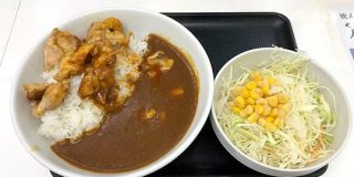 【戦争】吉野家に『チキンスパイシーカレー』登場！ 松屋「ごろごろ煮込みチキンカレー」に宣戦布告か？ | ロケットニュース24