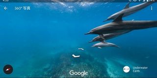 【楽しい】Googleの水中ストリートビューがいつの間にか超絶パワーアップしていてヤバい！ 人や車のかわりに海ガメやイルカとすれ違う不思議な感覚 | ロケットニュース24