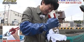 ついにグリル厄介を一人で頑張る関ジャニ横山くん、捨てちゃうキャベツで養殖した厄介者ムラサキウニのお味は!? #鉄腕DASH - Togetter