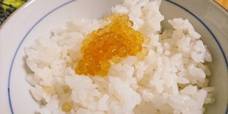 『タピオカをイクラの浸けダレに浸けてみた』ジェネリックイクラが誕生し、痛風やアレルギー持ちの方も注目「いろんな味付けしてサラダに乗せるのも…」 - Togetter