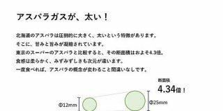 なぜアスパラの太さ推し…ファイターズの斬新な転職資料にざわつく人事担当者「極めて優秀な資料」 - Togetter