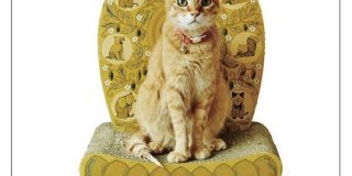 『やはり猫は尊い生き物だった』フェリシモがとんでもなく神々しいアイテムを発売していた「毎日拝んでるけどますます拝まなければ！」 - Togetter