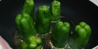 「ピーマンの肉詰め」を肉汁たっぷりジューシーに作れる方法が話題！その他おすすめの方法や、火の通し方などのお役立ち情報も - Togetter