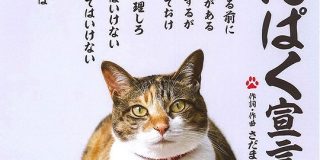 さだまさしさんのコンサートで『おまえ俺の飼い主ならば～♪』とあの名曲が歌われ大盛り上がり「生にゃんぱく宣言！」 - Togetter