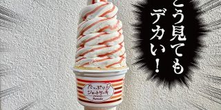 【デカい】巻いてドォォーンと5巻半！ ファミマ限定アイス『たっぷりショートケーキ』がデカくてウマくてギルティすぎ！ 最大クラスの大きさで202円（税抜） | ロケットニュース24