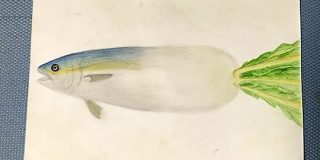 中学生の時に「ぶり大根」として描いた絵がとてもぶり大根「ハイ鰤ッド」 - Togetter