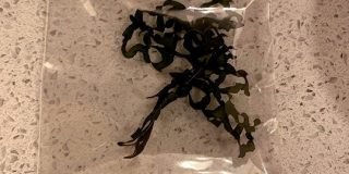 細切り昆布が届いた！→お湯に入れたらホットな二文字が出現「粋だなぁ」「形状記憶昆布的なこと…？」 - Togetter