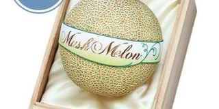巨人・岡本が珍要求「食堂のメロンが硬い。ちゃんと熟したのに変えてほしい」 : なんJ（まとめては）いかんのか？