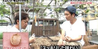 TOKIOが移動式インドで栽培したクミンとコリアンダーをプロが試食「市販の物より美味しい。ぜひハウス食品でも使いたい」 #鉄腕DASH - Togetter