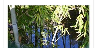 出勤しくじりたい人向け 乗り過ごした先の景勝地がわかる『乗り過ごし検索エンジン』が誕生し好評「用途はともかく使える」 - Togetter