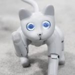 プログラマブルな猫ロボ「Meet MarsCat」は飼い主と一緒に成長・進化する | TechCrunch