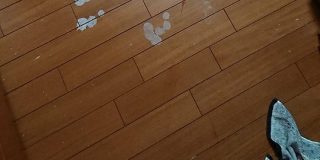 消毒用アルコールをフローリングにこぼしたら真っ白に… →メラミンスポンジにサラダ油をつけて擦ってみよう - Togetter