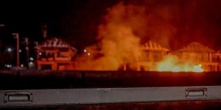 生物は「悪条件だと進化できる」のは本当か　寄生の仕組みから考える（佐倉統） | ブルーバックス