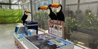 いつもにこやかに対応してくれる掛川花鳥園だが、あるエリアだけスタッフさんの圧が強い「めちゃくちゃ接客されたい！」 - Togetter