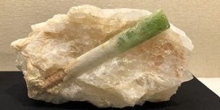 神奈川のとある博物館で展示中の石、どう見ても「野菜室の奥の方から出てくるネギ」にしか見えない「これはネギ」「紛うことなきネギ」 - Togetter