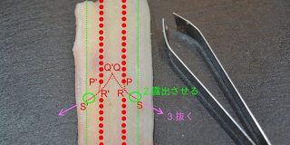 ごく一部の料理人にのみ継承されている『ハモの骨抜き』をGoogleエンジニアが自己流で論理的に図解「えげつない技術」 - Togetter