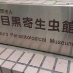 東京の隠れデートスポットとしても知られる貴重な民間博物館「目黒寄生虫館」が存続のピンチ オンラインで募金も出来るぞ！ – Togetter