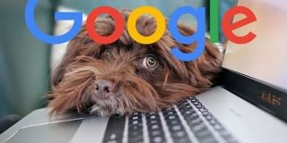 ウィキペディアに手当り次第にリンクを追加してもSEO価値はゼロ | 海外SEO情報ブログ