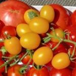 イタリア料理の歴史は2000年以上あるが、トマトが一般的に使われるようになったのはここ300年程度なの「それまでなに食ってたの！？」 – Togetter