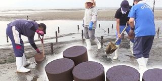 やっかいものが海の豊かさを取り戻す！？ | NHKニュース