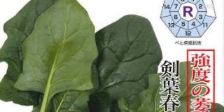 ほうれん草の品種名がどれもこれも強そうでカッコイイったらない「召喚獣か（笑）」他の野菜もけっこうすごい - Togetter