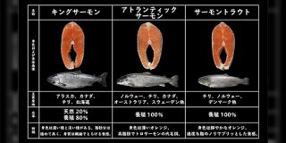 キングサーモンから銀鮭まで...！王子サーモンさん直伝の「鮭の種類と味わいが分かるリスト」役立つ＆勉強になるで最高 - Togetter
