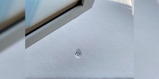 雪に果敢に挑戦するも、一歩で諦めた猫さん「かわいい」「型取って保存したい」 - Togetter