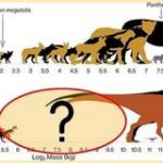 馬サイズの「中型恐竜」が存在しなかった理由をついに解明！ – ナゾロジー