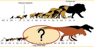 馬サイズの「中型恐竜」が存在しなかった理由をついに解明！ - ナゾロジー