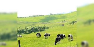 予想していた北海道大学と実際の北海道大学のイメージを比べた画像がこちら「間違い探しかと思った」 - Togetter