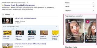 著名人以外のナレッジパネルにもCameos on Googleが出現。チキン・バナナ・掃除機に関するよくある質問にエキスパートが動画で回答 | 海外SEO情報ブログ