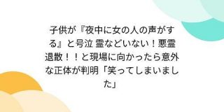 子供が『夜中に女の人の声がする』と号泣 霊などいない！悪霊退散！！と現場に向かったら意外な正体が判明「笑ってしまいました」 - Togetter