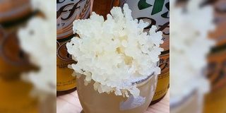 ウイスキーの水割りを冷凍庫に入れておいたらなんか面白いことになっていた - Togetter