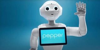 Pepper生産中止・肉の包装・ベリーの収穫、多数の資金調達が行われた今週のロボティクスまとめ | TechCrunch